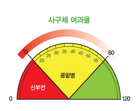 만성콩팥병 설명 사진