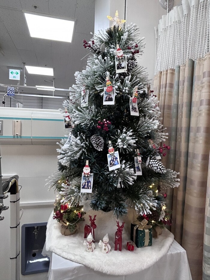 4212df18ecd611440a068d71d54c4647_1767595865_9533.jpg 4212df18ecd611440a068d71d54c4647_1767595865_9533.jpg